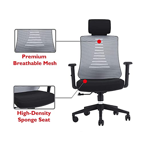 KLASIKA Ergonomic Office Chair with Height Adjustable Back and Lumbar