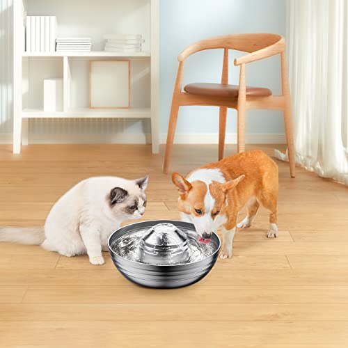 isYoung Cat Water Fountain Stainless Steel, 67oz/2L Metal Pet Fountain