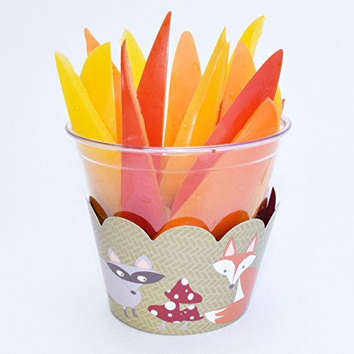 Woodland Animal Cupcake Wrappers 36 Forest Creatures Baby