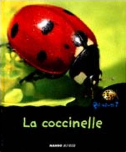 coccinelle-marie