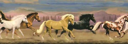 Amazon Com Horse Mustang Stallions Equestrian Wallpaper Wall Border Kitchen Dining