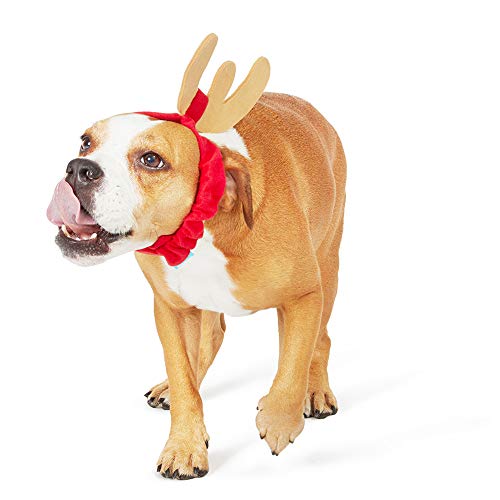 BarkBox and Super Chewer Grinch Holiday Limited Edition Gift Assortment