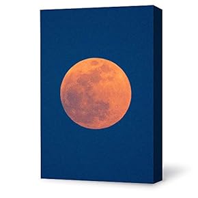 Canvas Wall Art Bright Moon Shining Forests Painting Artwork for Home Prints Framed - 12x18 inches