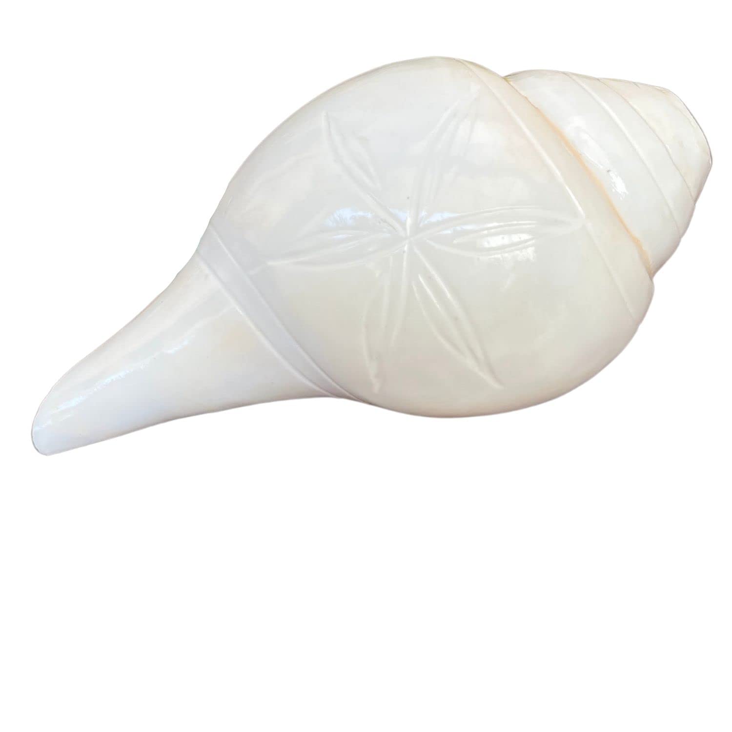 NAISHA Blowing Shankh for Pooja - Blowable Conch Shell - Energized Abhimantrit Dakshinavarti Valampuri Sangu Vamavarti Dattatreya - Ritual Puja Shankhnaad Laxmi Shankh for Temple (4.5-5 Inch) — image 1