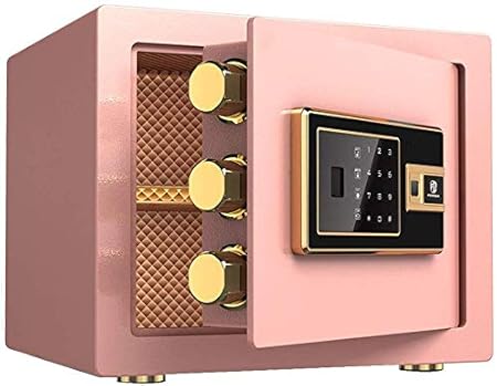 cassaforti biometriche