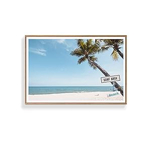 Framed Canvas Wall Art for Living...