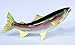 LX Handpainted Rainbow Trout Statue Game Fish Replica 18