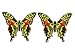 Clark Collection CC52071 Large Multi Colored Butterfly Door Screen Saver bundle (Pack of 2)