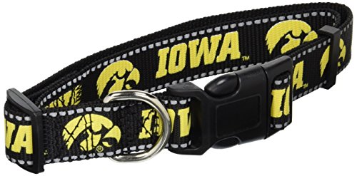 iowa hawkeye dog collar