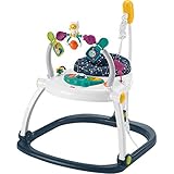 Fisher-Price Astro Kitty SpaceSaver Jumperoo