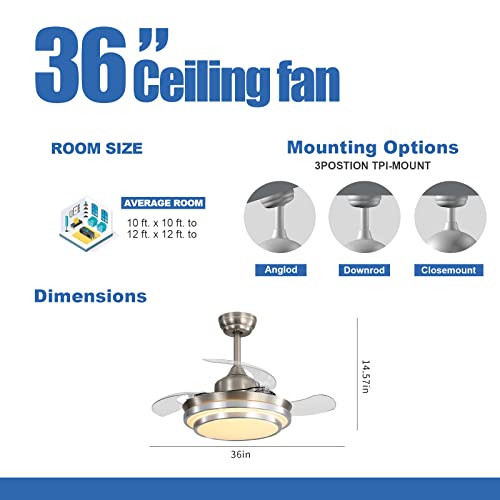 Retractable Ceiling Fans with Lights and remote, modern