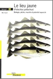Le  lieu jaune (Pollachius pollachius)