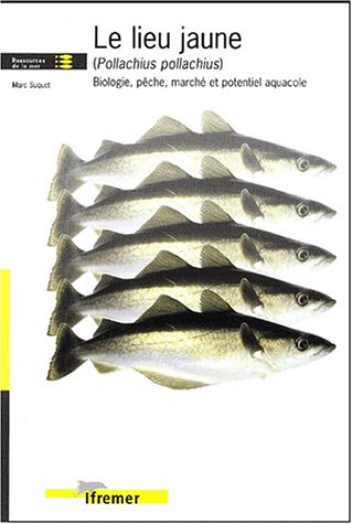 Le  lieu jaune (Pollachius pollachius)