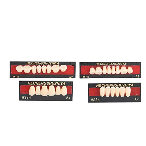 Resin Denture False Teeth, Dental Material Synthetic Resin False Teeth Filling for Patients with Oral Cavity Loss, Denture Tooth Care Tool