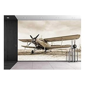 Old Airplane on Field in Sepia Tone - Removable Wall Mural | Self-Adhesive Large Wallpaper - 66x96 inches