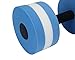 Leegoal TM 1 Pair Water Aerobic Exercise Foam Dumbbells Pool Resistance, Water Fitness Exercises Equipment for Weight Loss,Blue