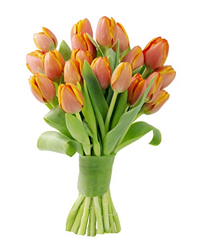 Blooms2Door 20 Orange Tulips (Farm-Fresh Flowers, Cut-to-Order, and Homegrown in the USA)