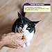 Wellness Kittles Grain-Free Whitefish & Cranberries Recipe Crunchy Cat Treats, 2 Ounce Bag