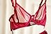 Sheer Bra and Panty Sets for Women, See Through Mesh Underwire Bras Briefs Lace Lingerie Set 2 Piece(V279TS0-34B-Red