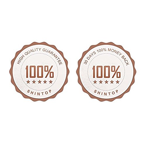 Shintop Disposable MakeUp Lip Brush Lipstick Gloss Wands Applicator Perfect Make Up Tool (100pcs clear)