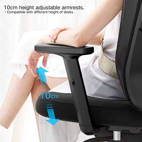 Hbada Ergonomic Office Desk Chair with Adjustable Armrest, Lumbar