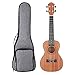 UKELE Soprano Ukelele 21 Inch Ukulele Professional Wooden Beginner Instrument Small Hawaiian Guitar with Gig Bag for Starter