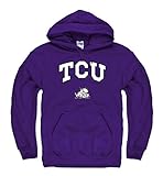 TCU Horned Frogs Adult Arch and Logo Hooded Sweatshirt - Purple