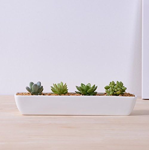Succulent Pot, Herb Planter or Cactus Pot - White Minimalist Long Rectangular Pot - 11in x 2in x 2.3in - Indoor Outdoor Planter by Gander Lane