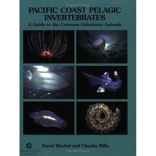 Pacific Coast Pelagic Invertebrates: A Guide to the Common