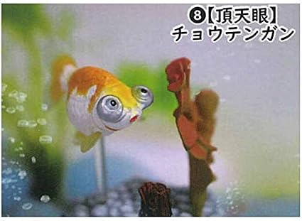 Amazon 金魚立体図鑑 フル彩色フィギュア 8 チョウテンガン 頂天眼 単品 フィギュア ドール 通販