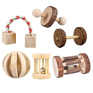 CCCYMM-6-Pcs-Pet-Natural-Wooden-Chew-Toys-Dumbells-Exercise-Bell-Molar-Toy-for-Parrot-Rabbit-Chinchilla-Guinea-Pig-Hamster-Small-Animals CCCYMM 6 Pcs Pet Natural Wooden Chew Toys Dumbells Exercise Bell Molar Toy for Parrot, Rabbit, Chinchilla, Guinea Pig…
