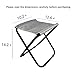 CAIN Camp Stool, Lightweight Camping Stool, Portable Folding Camp Chair, Foldable Outdoor Chairs for Travel Fishing Beach Backpacking Hiking Picnic Lawn Camp Travel Gardenthumb 1
