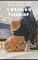 Livro A Dama E O Tatuador: Coroas Brasileiras
