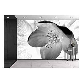 X-Ray Image of Flower and Leaves. Black and White Macro Photography. - Removable Wall Mural | Self-Adhesive Large Wallpaper - 66x96 inches