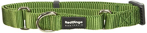 Red Dingo Martingale Classic 20mm Choke Collar, Green, Small/Medium