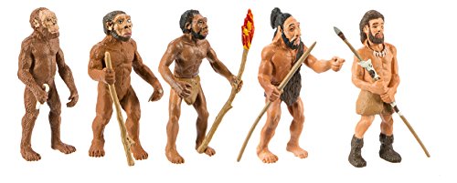 Safari Ltd Safariology Evolution of Man Historical Toy Figurines Including Australopithecus Afarensis, Homo Habilis, Homo Erectus, Neanderthal, and Cro-Magnon