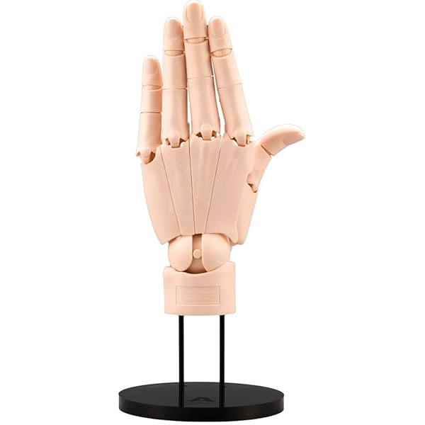 Amazon.com: Kotobukiya ARTIST SUPPORT ITEM 1/1 Scale Hand Model R