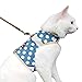 Yizhi Miaow Cat Harness and Leash for Walking Escape Proof, Adjustable Cat Vest Harness, Padded Stylish Cat Walking Jackets, Polka Dot Blue, X-Small