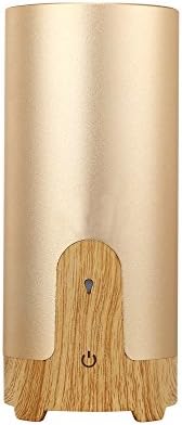 RealTaste Ultrasonic Cool Mist Humidifier Aroma Air Purifier Diffuser Aromatherapy Essential Oil Diffuser USB Portable Function for Home Office Car humidifier (GOLD)