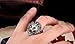 Retro 316L Stainless Steel Roaring Lion Mens Ring Engraved Carved, Silver