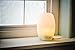 Essential Oil Diffuser Humidifier LiteMist Ultrasonic Aromatherapy by ZAQ with Ionizer Oil LED Light Lamp - 300 ML Capacity