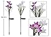 [4 Pack] Solar Garden Lights with 16 Lily Flowers | Color Changing LED Solar Stake Lights for Garden, Patio, Path, Backyard