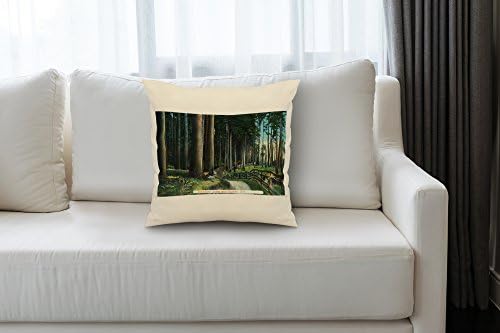 Amazon Com Lantern Press Eugene Oregon Woodland Scene 20x20