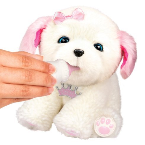 tiara my dream puppy