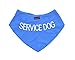 Service Dog Blue Dog Bandana Quality Personalised Embroidered Message Neck Scarf Fashion Accessory Prevents Accidents by Warning Others of Your Dog in Advance