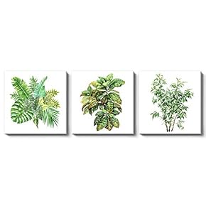 Canvas Wall Art Plants and Fruits Painting Artwork for Home Prints Framed - 12"x12"x3 Panels