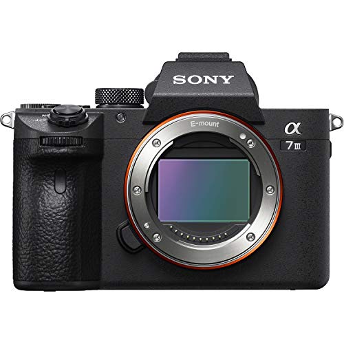 Sony Alpha a7 III Camera Body