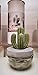 Pretty Valley Home Gypsum Cactus Fragrance Diffuser-Cutting Grass
