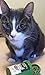 Smokey's Stash Organic Catnip OG puss Potent cat nip for Cats Small pop top