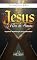 Livro JESUS O FILHO DO HOMEM: A perfeita identificação com a humanidade